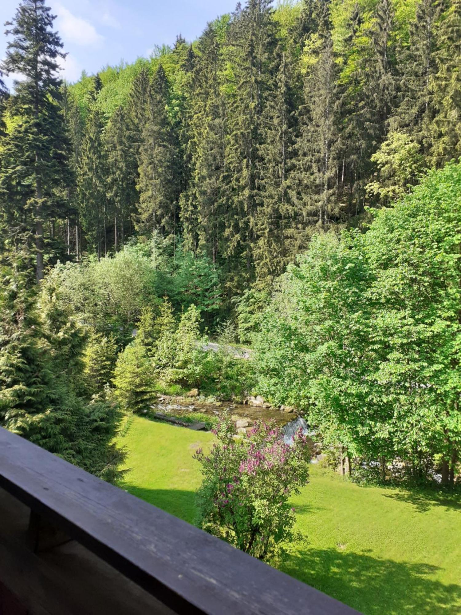 Apartamenty Kaskada Miedzygorze Rom bilde