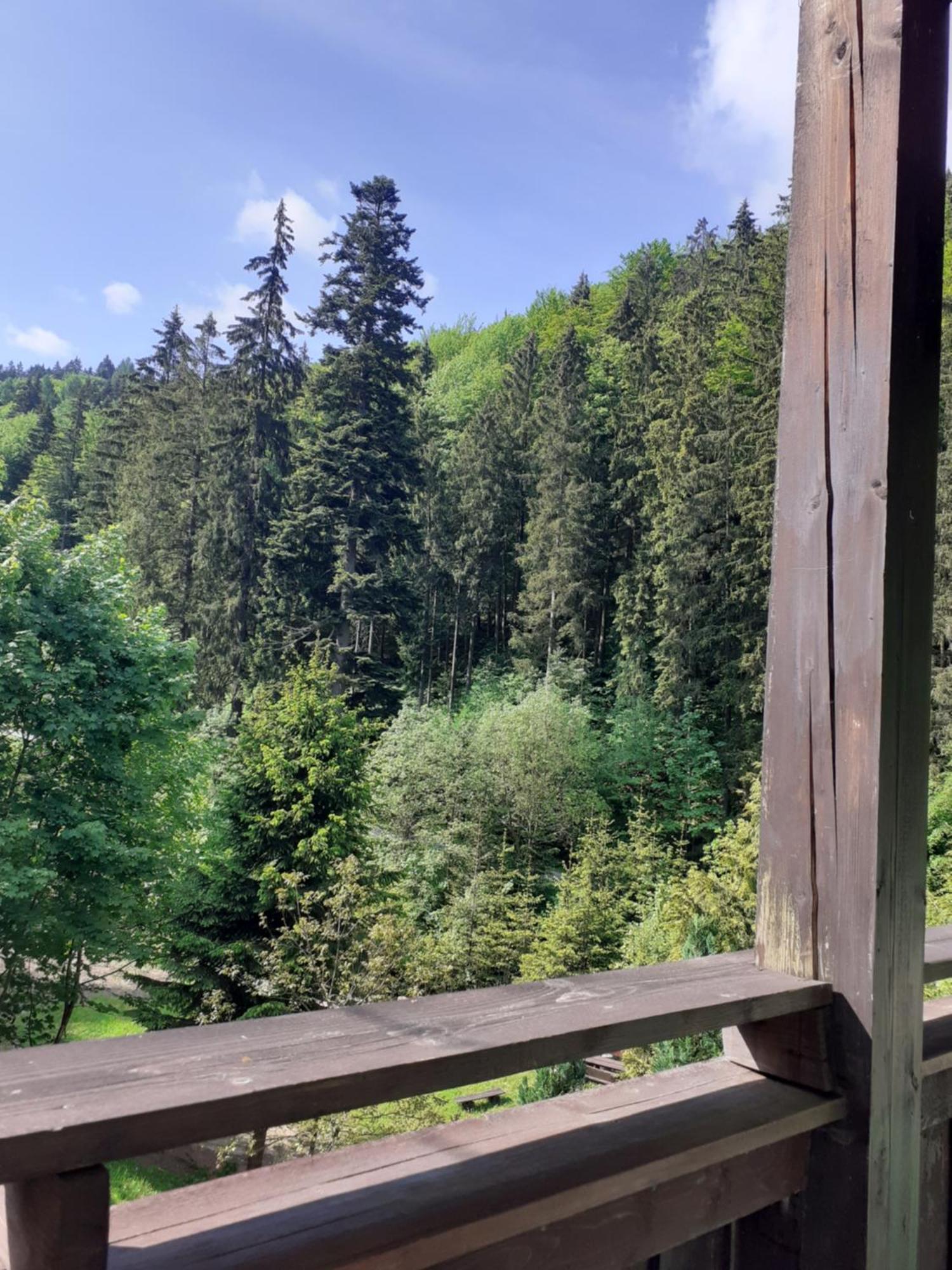 Apartamenty Kaskada Miedzygorze Rom bilde